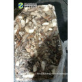 Frozen Tentacles Of Squid Frozen Squid Tentacles For Sale Fresh Frozen Squid Tentacles For Sale